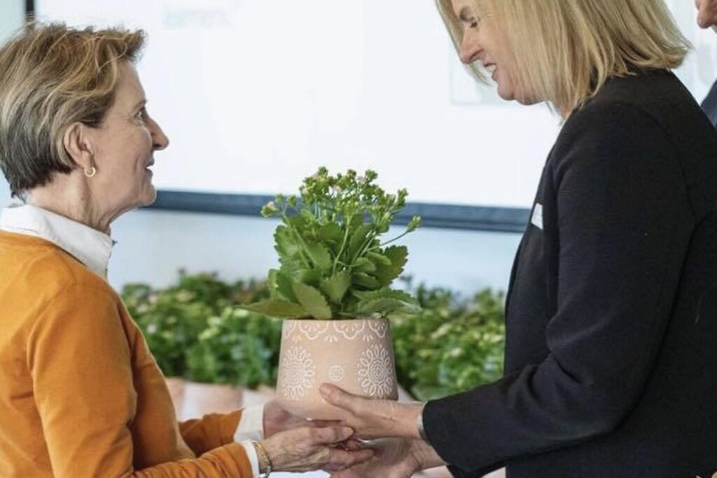 Business Gifts Indoor Plants